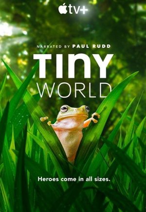 Tiny World