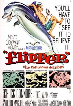 Flipper