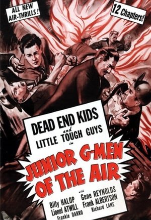 Junior G-Men of the Air
